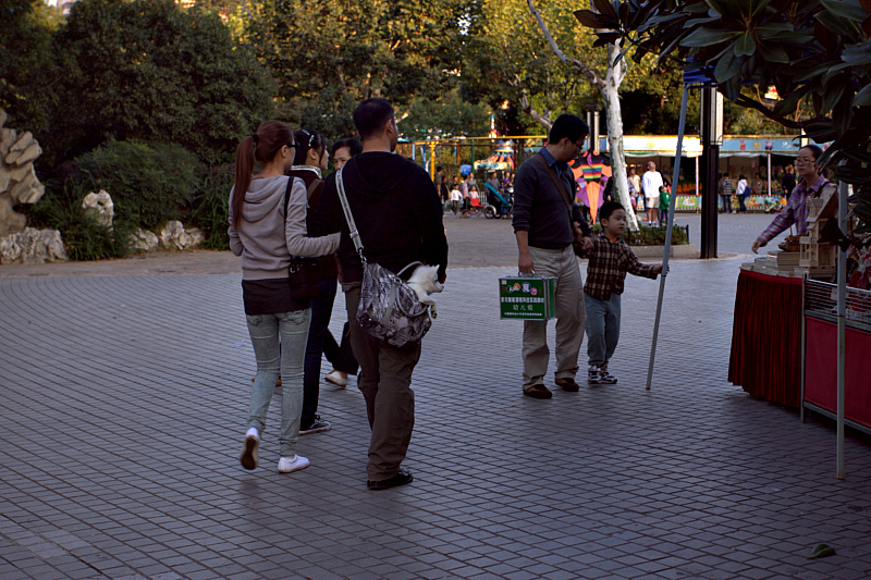 IMG_4960.CR2.jpg