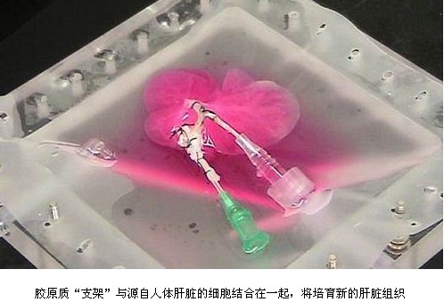 QQ截图未命名2.jpg