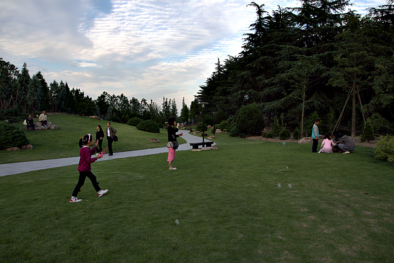 IMG_5048.CR2.jpg