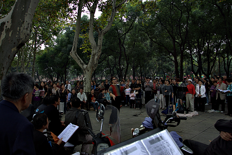 IMG_5146.CR2.jpg