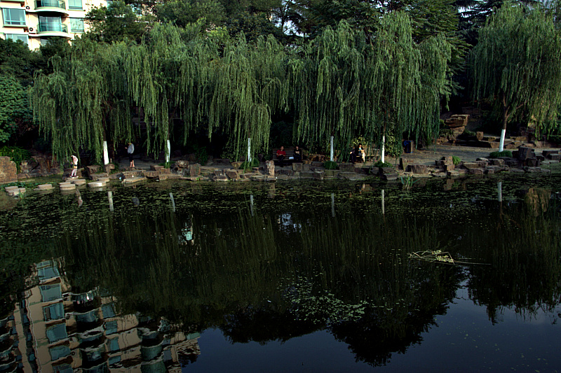 IMG_5176.CR2.jpg