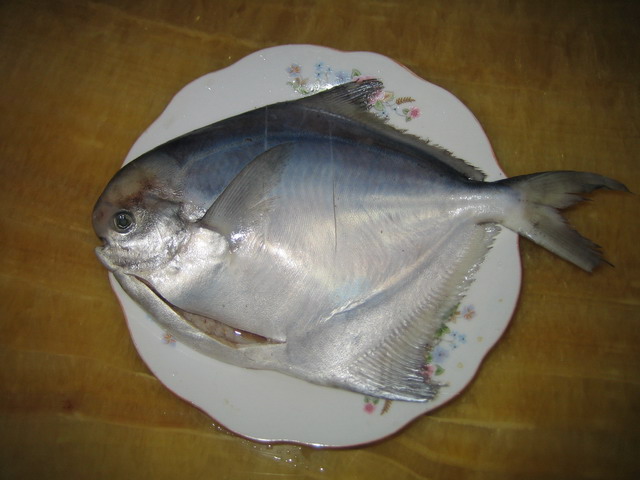 z5.jpg