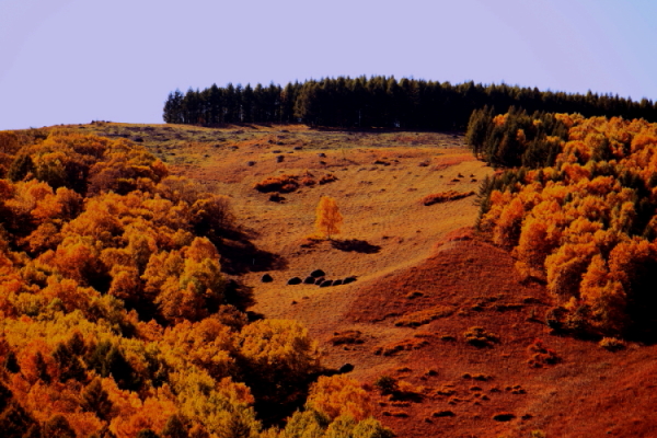 DPP_0001.JPG