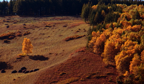 DPP_0002.JPG