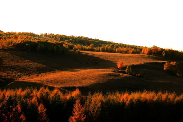 DPP_0005.JPG