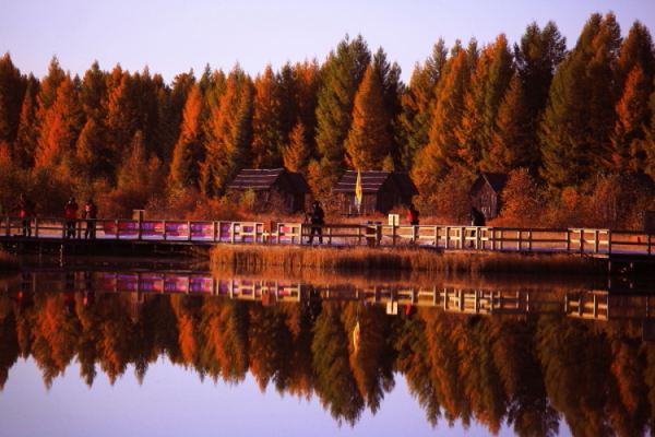 DPP_0009.JPG