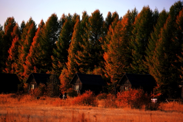 DPP_0011.JPG