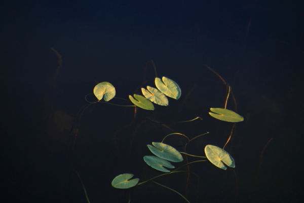 DPP_0013.JPG