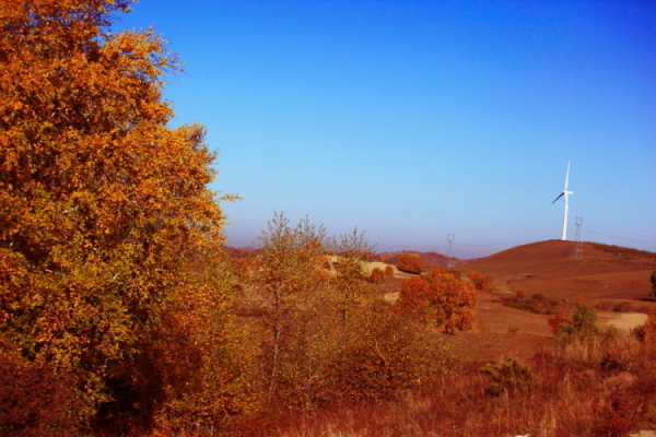 DPP_0014.JPG