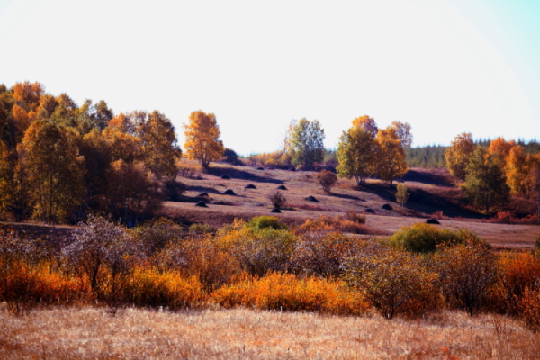 DPP_0015.JPG