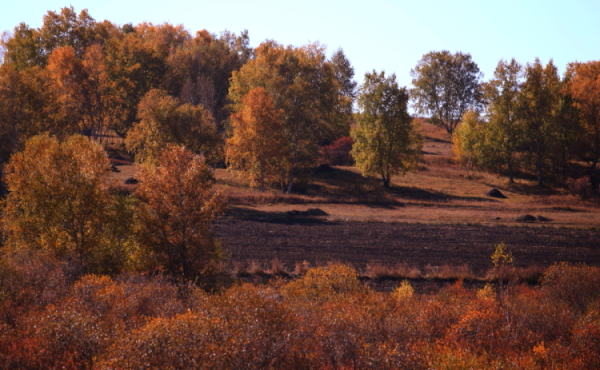 DPP_0016.JPG