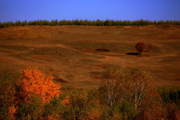 DPP_0019.JPG