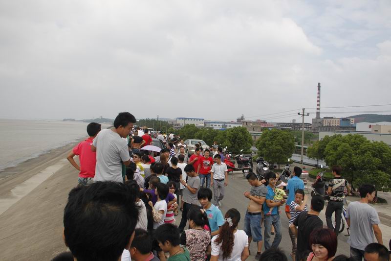 _MG_9237.JPG