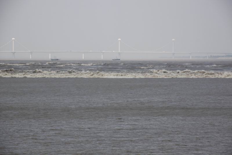 _MG_9273.JPG