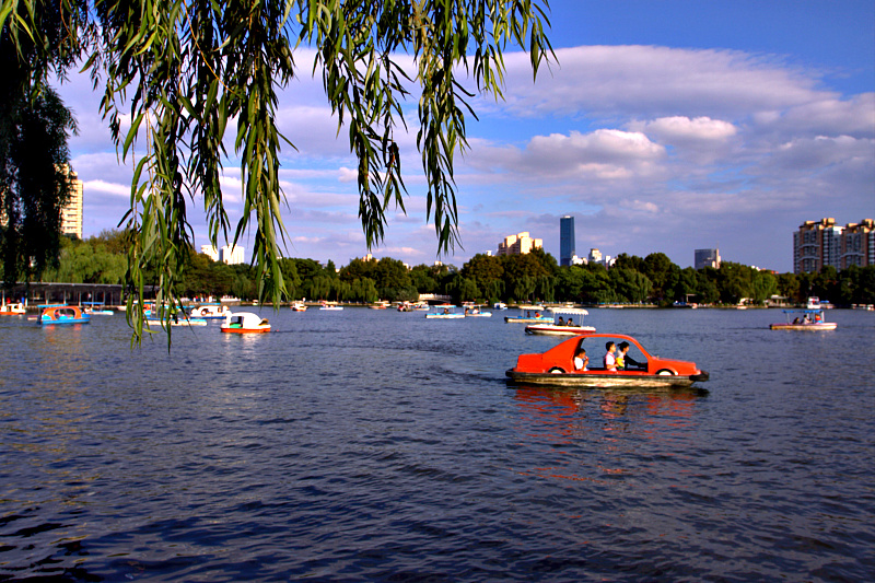 IMG_4916.CR2.jpg