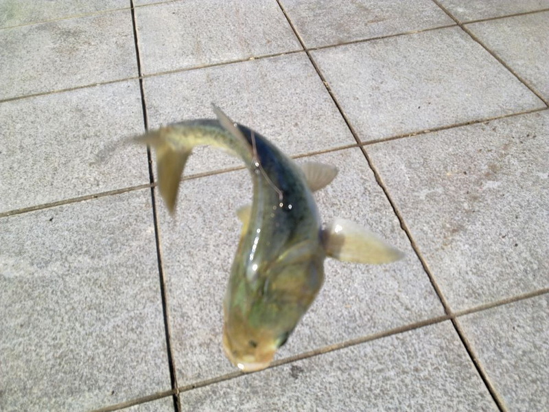 01.jpg