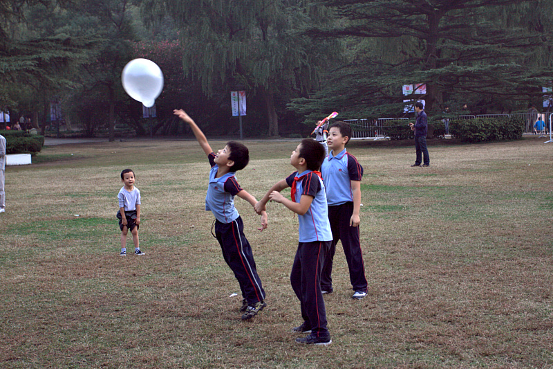 IMG_5250.CR2.jpg