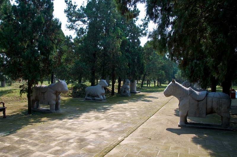 DSC_1290a.jpg