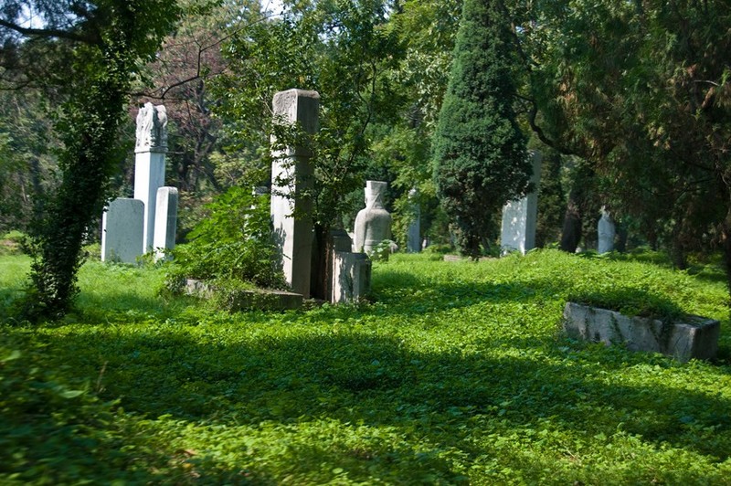 DSC_1303a.jpg