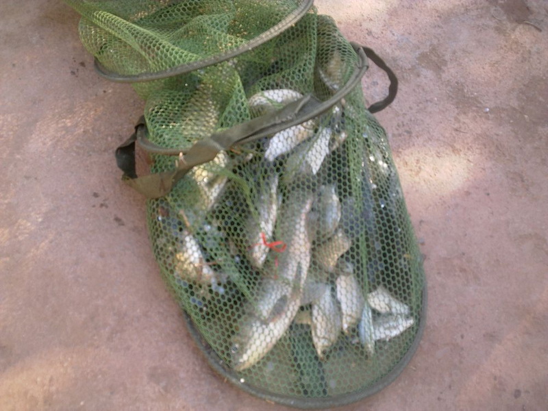 55.jpg