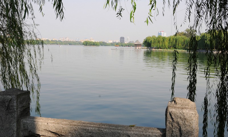 DSC_0748a.jpg