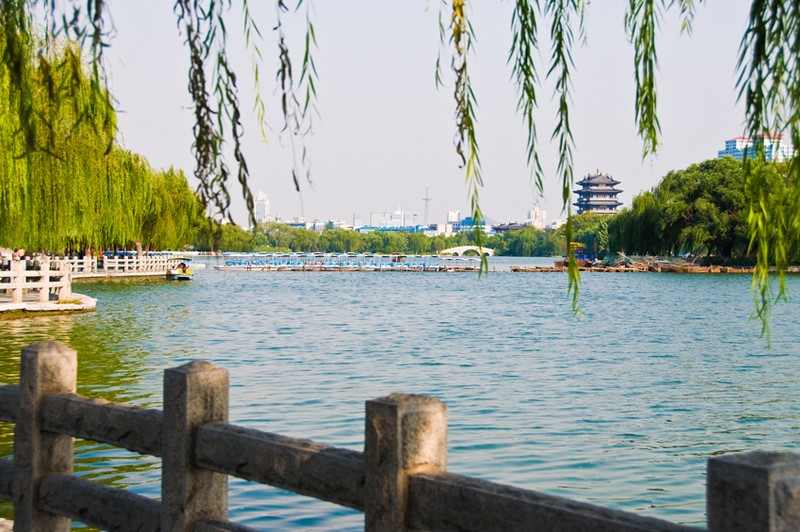 DSC_0780a.jpg