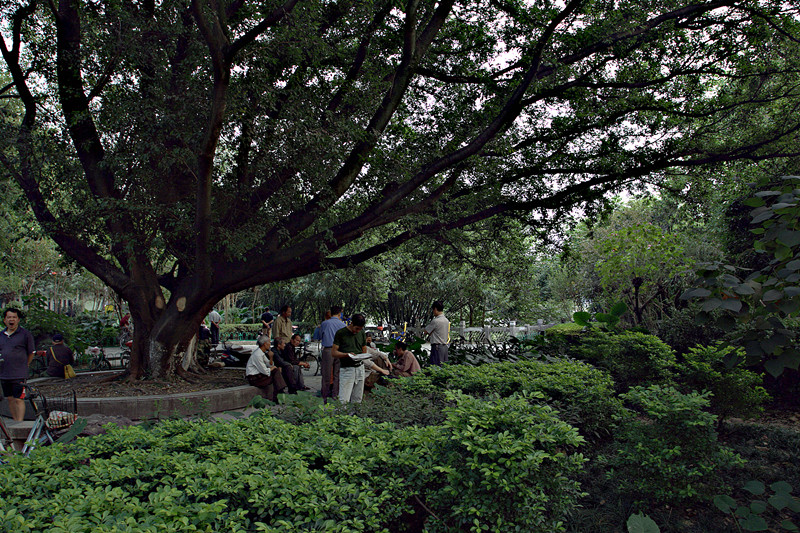 IMG_0069.CR2_副本.jpg