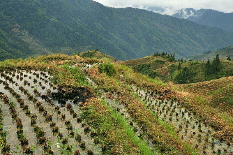 梯田2.jpg