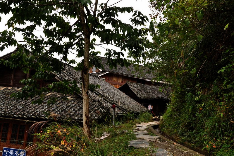 路.jpg