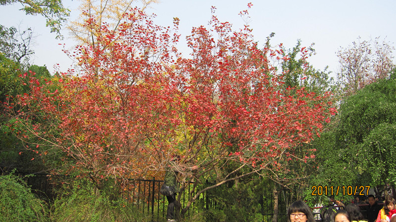 IMG_0701_副本.jpg