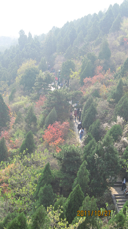 IMG_0774_副本.jpg