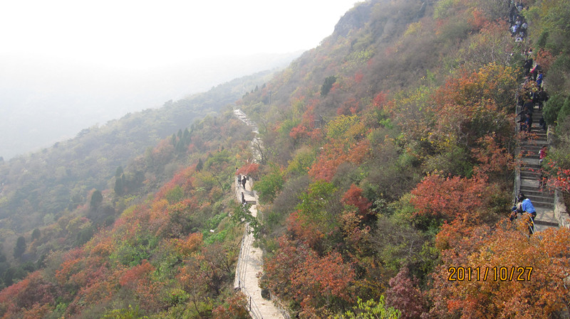 IMG_0798_副本.jpg