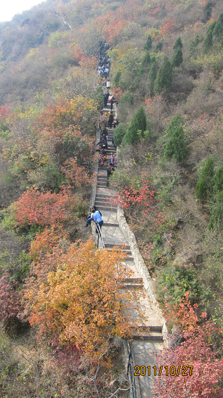 IMG_0799_副本.jpg