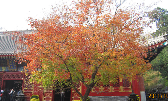 IMG_0678_副本.jpg