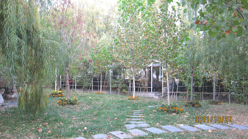 IMG_0979_副本.jpg