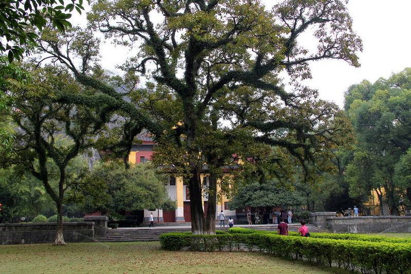 IMG_4095.jpg