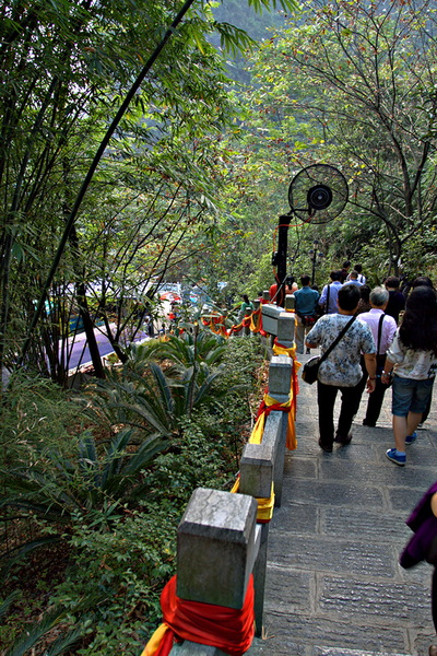 img_0844.cr2_副本.jpg