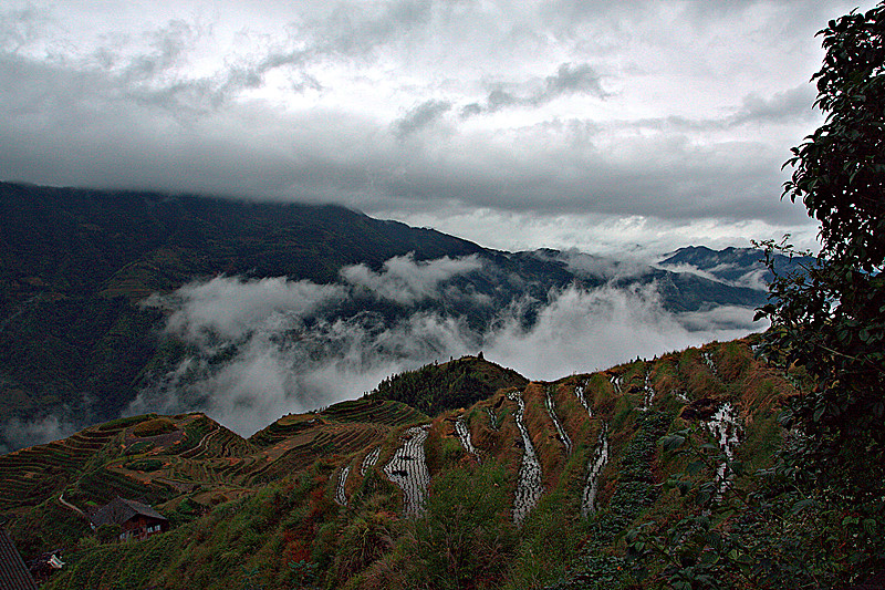 img_1241.cr2_副本.jpg