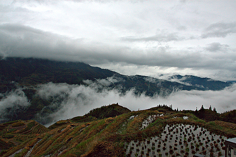 img_1243.cr2_副本.jpg
