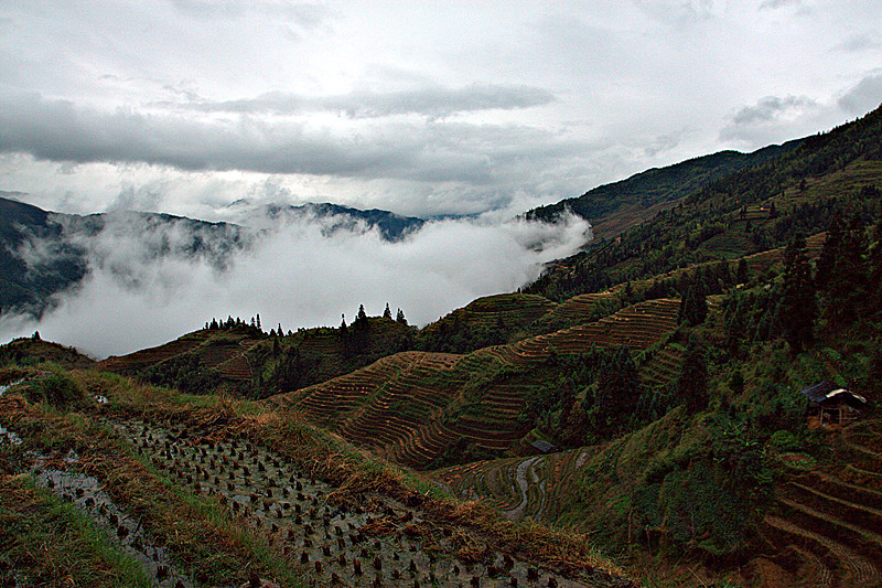 img_1244.cr2_副本.jpg