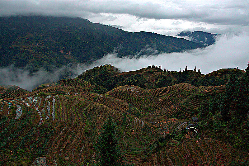 img_1246.cr2_副本.jpg