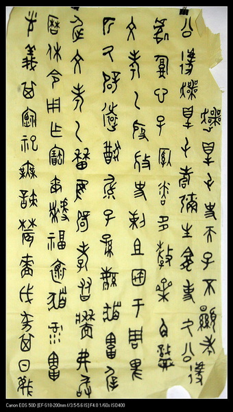 照片 008.jpg