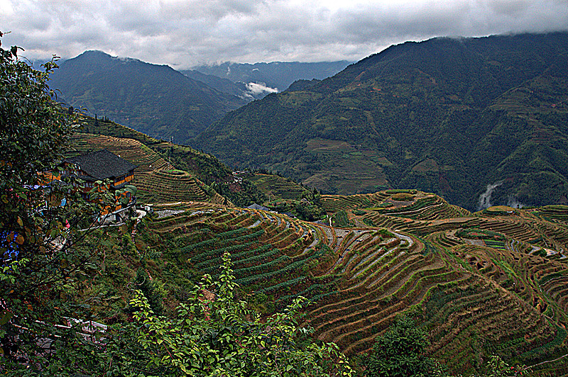 img_1333.cr2_副本.jpg
