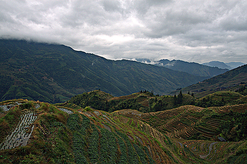 img_1370.cr2_副本.jpg