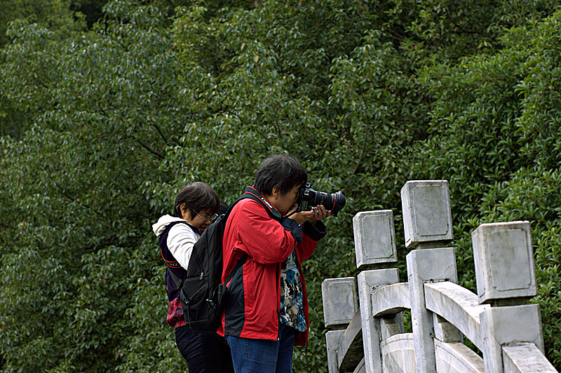 img_1477.cr2_副本.jpg