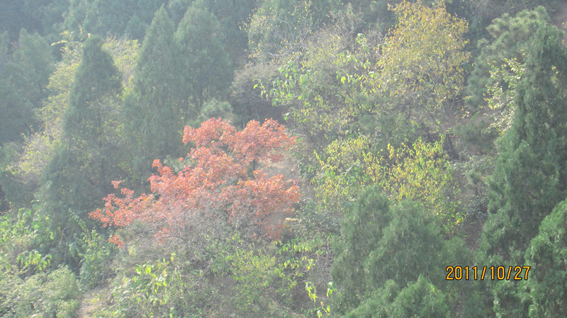 IMG_0760_副本.jpg
