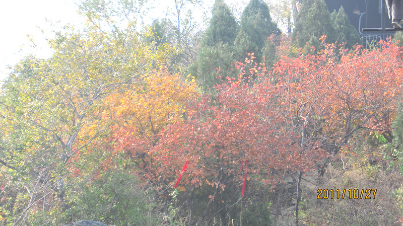 IMG_0814_副本.jpg