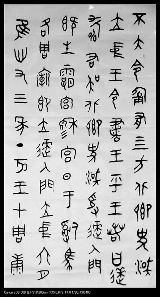 照片 012.jpg
