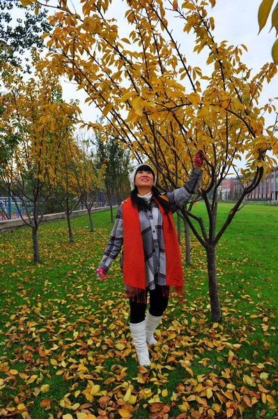 照片 315.jpg