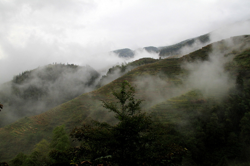 IMG_6460.JPG